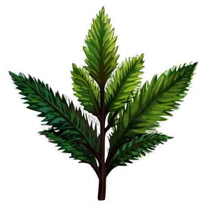 Evergreen Plants Png Bte7 PNG image