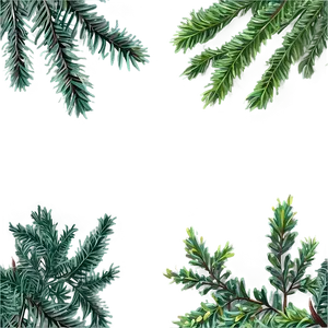 Evergreen Plants Png Ehp PNG image