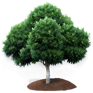 Evergreen Shrubs PNG Cih71 PNG