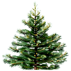 Evergreen Spruce Tree PNG Vse45 PNG