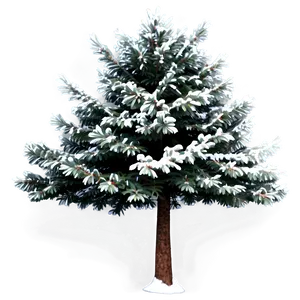 Evergreen Tree Design Png Mik PNG image