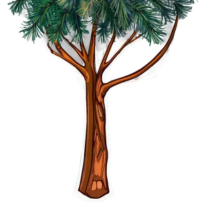 Evergreen Tree Drawing PNG Aql