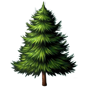 Evergreen Tree Illustration Png 06212024 PNG image