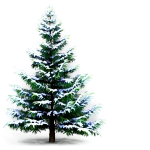 Evergreen Tree In Nature PNG 21 PNG