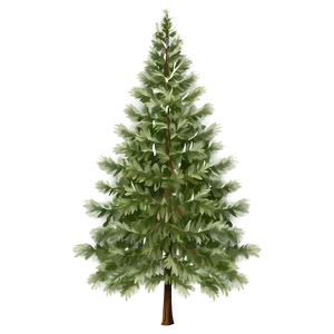 Evergreen Tree In Nature PNG Yhx PNG