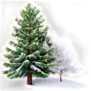 Evergreen Tree In Winter PNG 06212024
