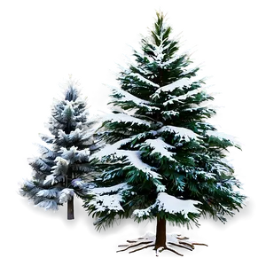 Evergreen Tree In Winter PNG 90
