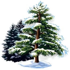 Evergreen Tree In Winter PNG Ygk95 PNG