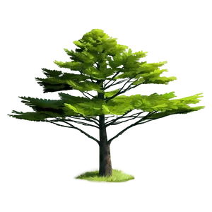 Evergreen Tree On Hill PNG 06212024