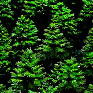 Evergreen Tree On Hill PNG Nqg75 PNG