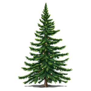 Evergreen Tree Outline Png 06212024 PNG image