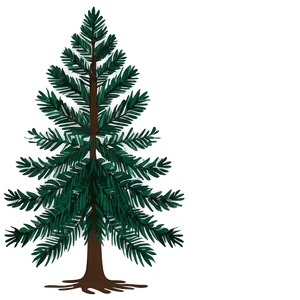 Evergreen Tree Silhouette Png 06212024 PNG image