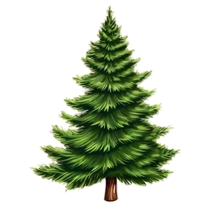 Evergreen Tree Sketch PNG 06122024