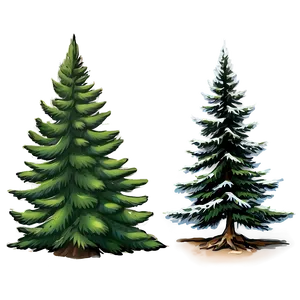 Evergreen Tree Sketch PNG Bwx97 PNG