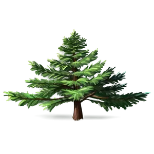 Evergreen Tree Sketch Png Uvh20 PNG image