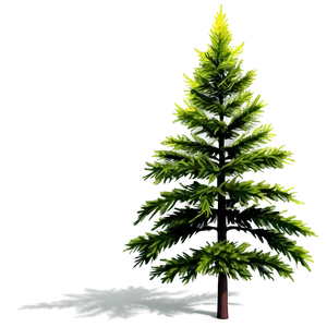 Evergreen Tree Sunrise PNG 10