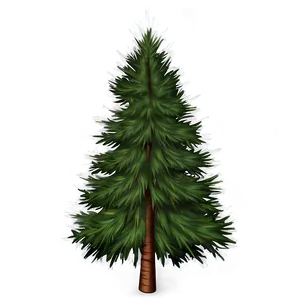 Evergreen Tree Sunrise PNG Ccv26