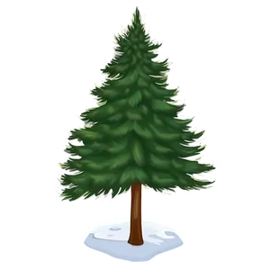 Evergreen Tree Sunset PNG 06212024