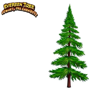 Evergreen Tree Sunset PNG Lwd3