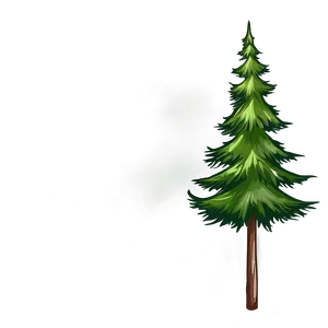 Evergreen Tree With Birds PNG Mvp