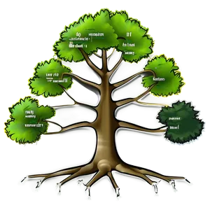 Evolution Tree Diagram PNG Ypc61