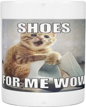 Excited Cat With Shoes Meme