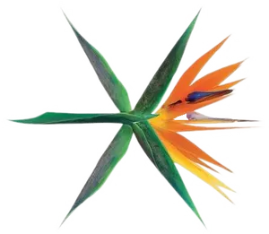 Exo Group Logo Stylized Flower PNG image