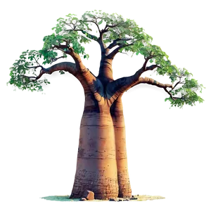 "exotic Baobab Tree PNG" 56