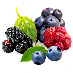 Exotic Berries Variety Png 06122024 PNG image