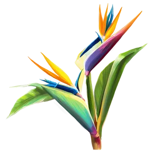 Exotic Bird Of Paradise Plant Png Syc PNG image