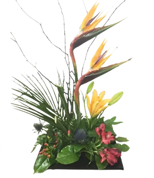 Exotic Birdof Paradise Floral Arrangement PNG image