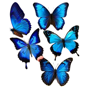 Exotic Blue Butterflies PNG Kts43