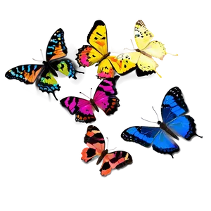 Exotic Butterfly Display PNG Hvd16 PNG