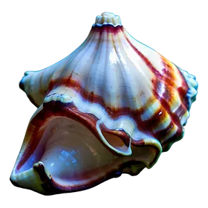 Exotic Conch Shell PNG Dbv