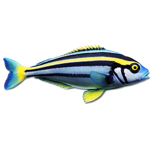 Exotic Fish PNG 05062024