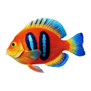 Exotic Fish PNG Jaw
