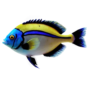Exotic Fish PNG Rnr