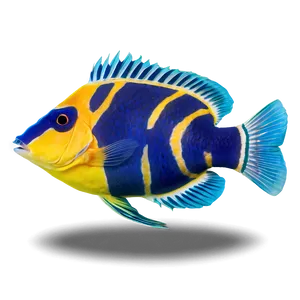 Exotic Fish Species Png 06132024 PNG image