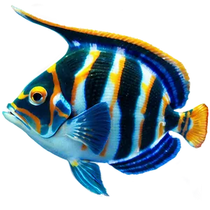 Exotic Fish Species Png 06132024 PNG image