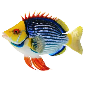 Exotic Fish Species Png 06132024 PNG image