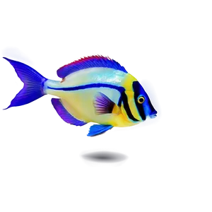Exotic Fish Transparent PNG Amu80 PNG