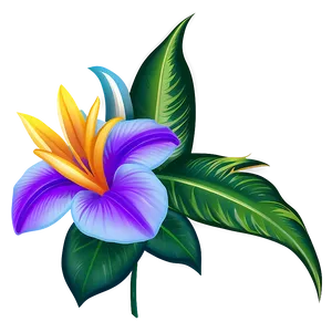 Exotic Flower Clipart Png 05252024 PNG image