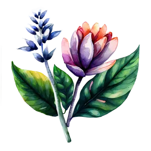 Exotic Flower Watercolor Png 06272024 PNG image