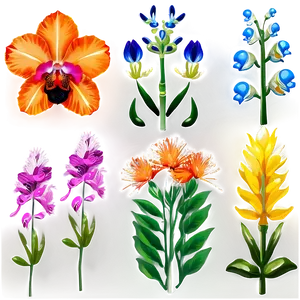 Exotic Flowers Collection PNG 04292024