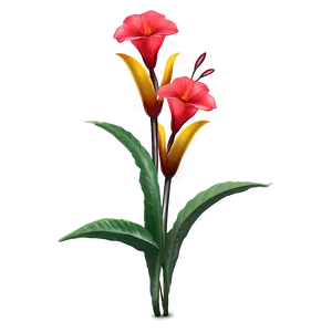 Exotic Flowers PNG Iwk PNG