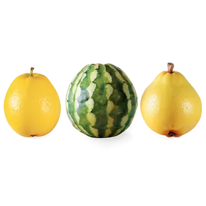 Exotic Fruit Paradise PNG 05212024