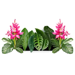 Exotic Garden Border PNG Cjd PNG
