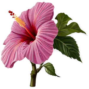 Exotic Hibiscus Png 35 PNG image