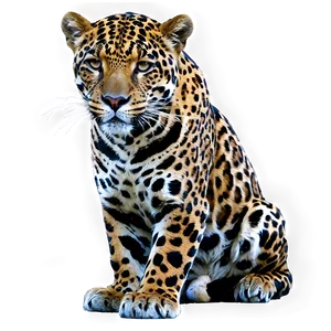 Exotic Jaguar PNG 05212024
