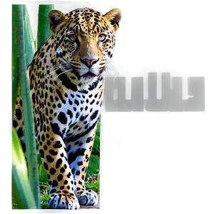 Exotic Jaguar Png Tvf97 PNG image